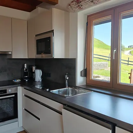 Chalet Mittersill 公寓 米特西尔